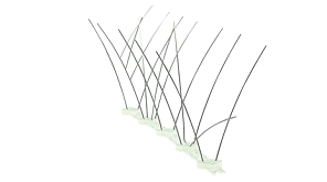 Duivenwering X-vorm 50 cm (lxbxh 50x7,8x12 cm)
